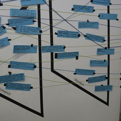 None_Session on Learning_49141749127.jpg